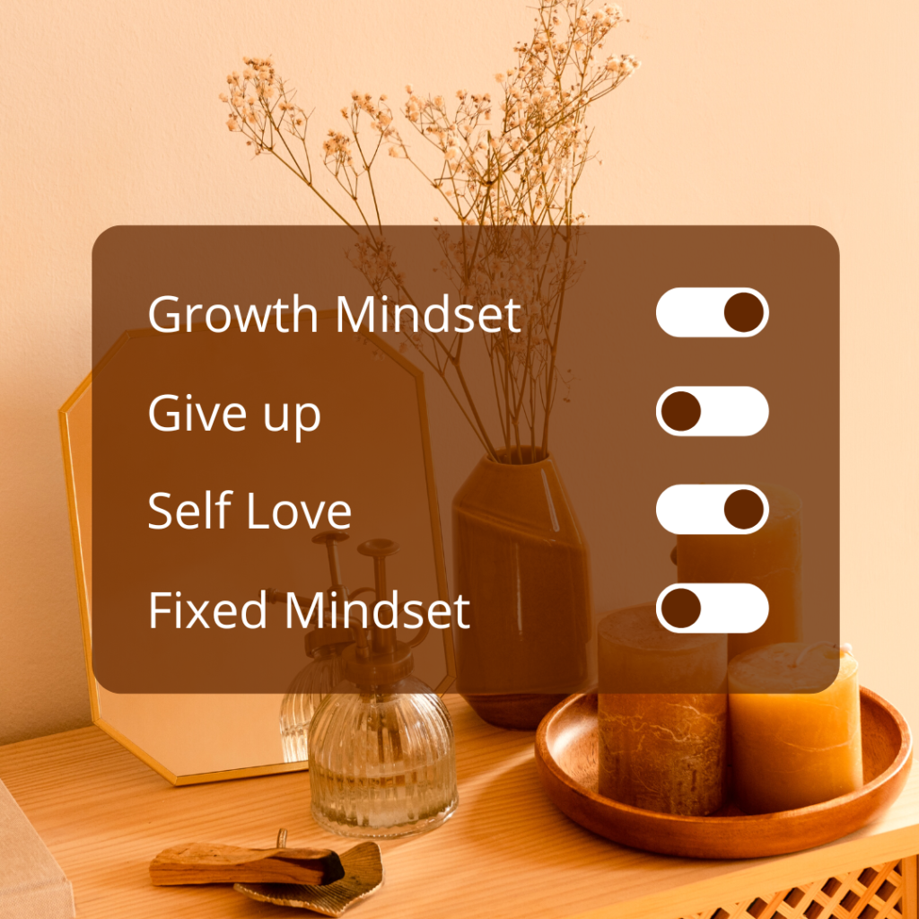 What is growth mindset? 